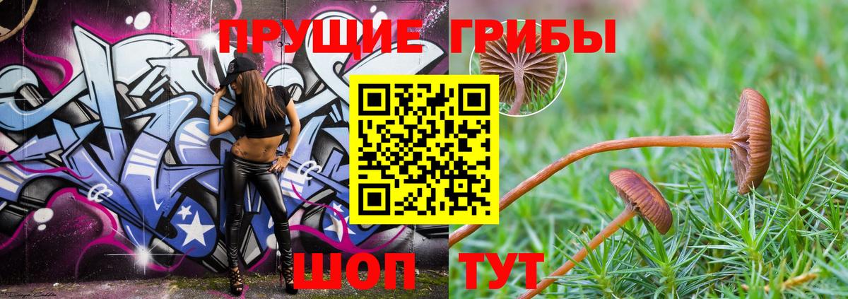 Галлюциногенные грибы Psilocybe  Вход с VPN  Рязань 